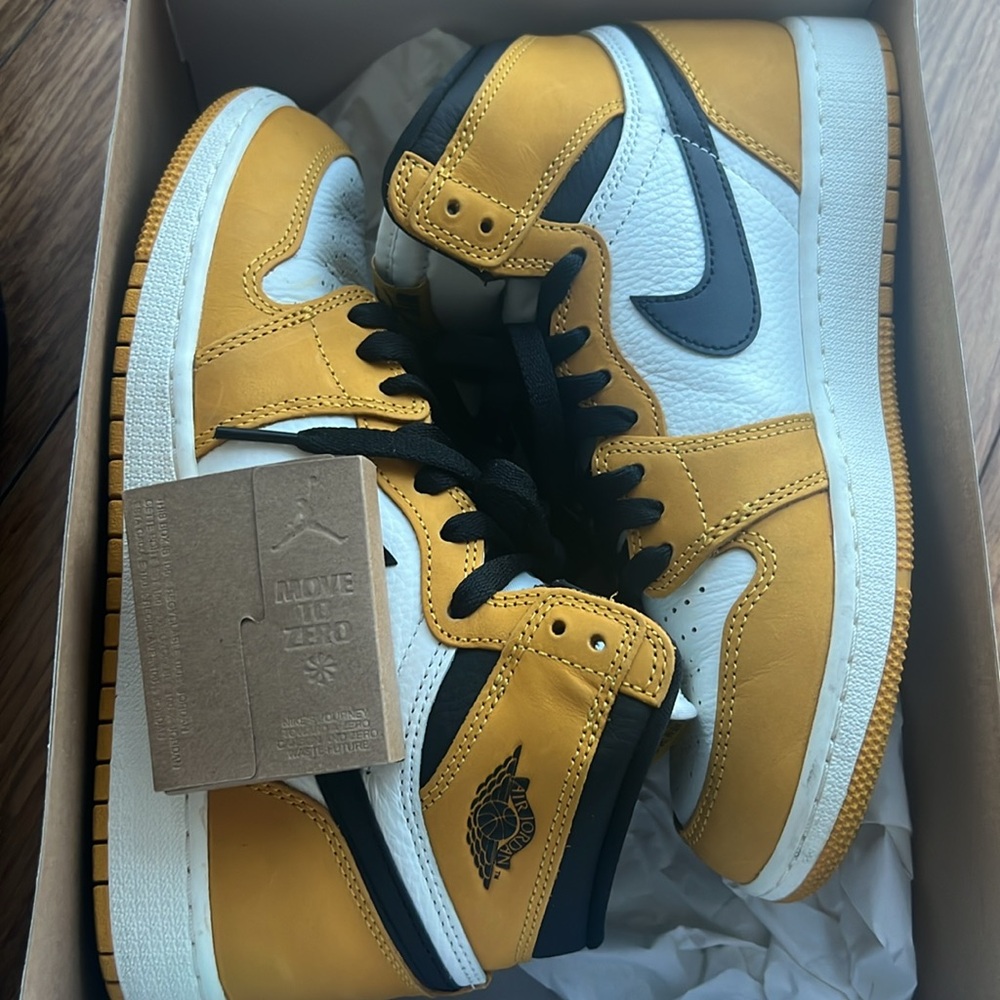Air Jordan 1 retro